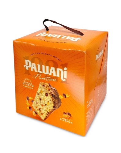 Paluani Panettone Babka Włoska Świąteczna Klasyczna 700g